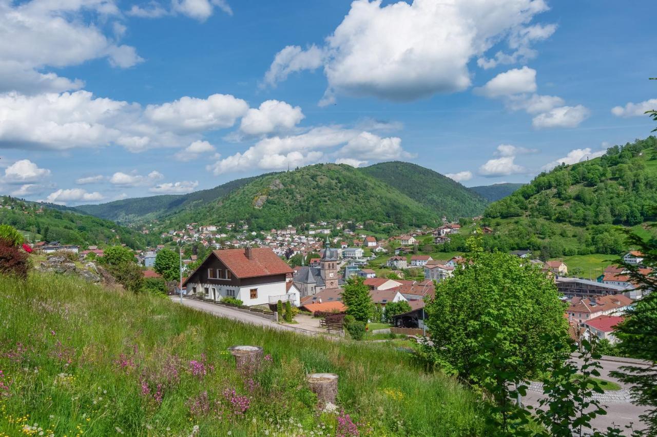 Le Planois Daire La Bresse Dış mekan fotoğraf